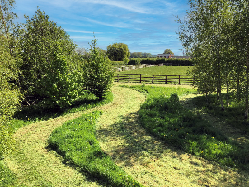 Tree Planting Scheme