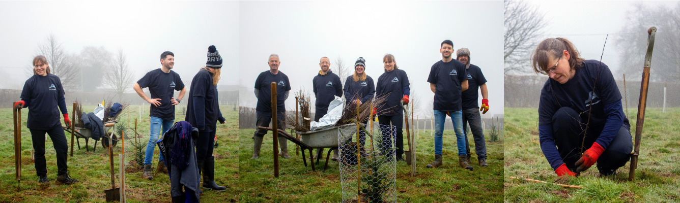 Tree Planting Scheme